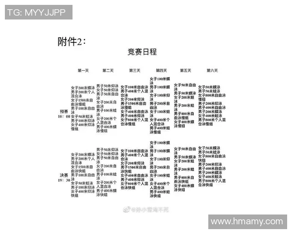游泳比赛规则详解：从起跳到触壁的技术要求与比赛流程