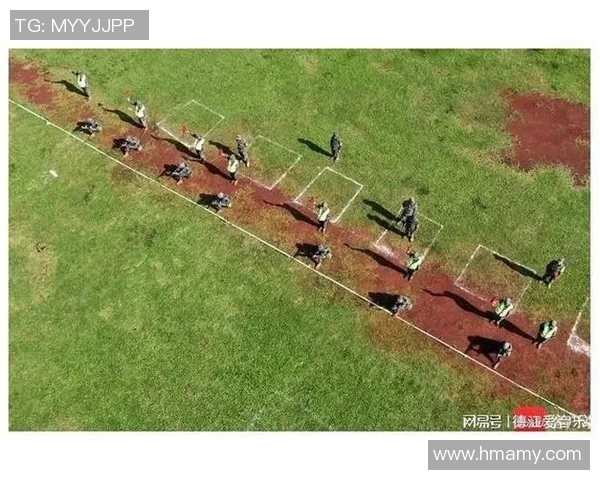 深入分析北京飞盘队防守反击战术的独特魅力与实战应用