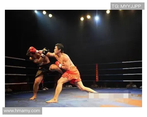 武术传承与创新：探讨传统武术与现代搏击技巧的融合与发展