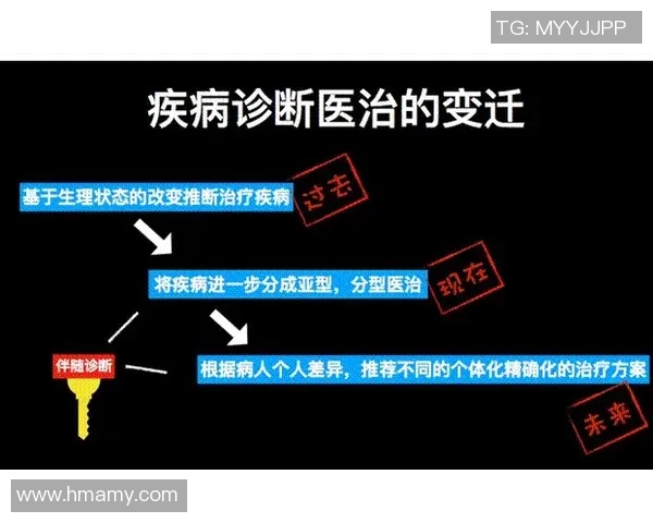 广州街舞队的转型之路与未来发展趋势深度解析