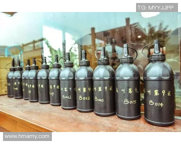 重庆极限运动队运营体系探秘与战术创新分析