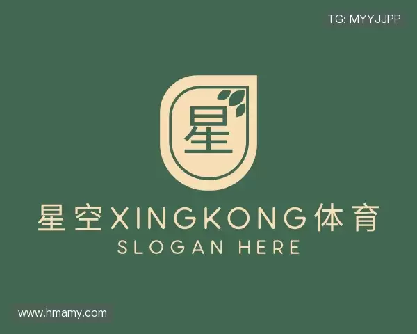 介绍xingkong.com